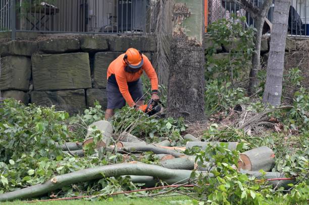  Margaret, AL Tree Services Pros